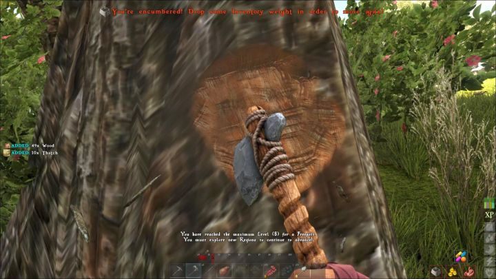 Korzystanie z narzędzi znacznie przyspiesza pracę. - Porady ogólne każdego pirata - Atlas - poradnik do gry