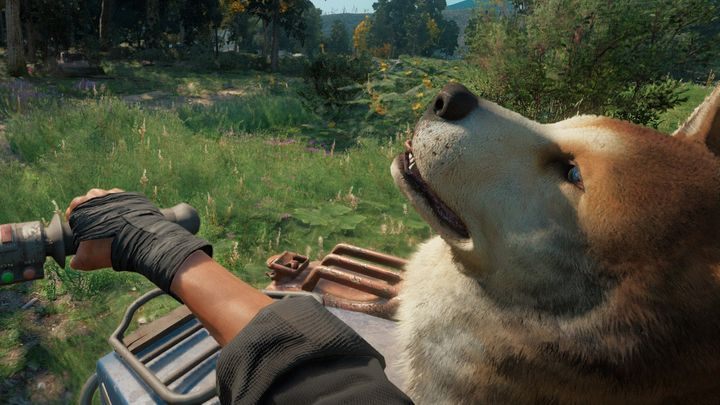 Komentarz: Po odblokowaniu spluwy do wynajęcia - psa Timbera, musisz przez 5 minut jeździć z nim na motorze z przyczepką - Trofea i osiągnięcia w Far Cry New Dawn - Far Cry New Dawn - poradnik do gry