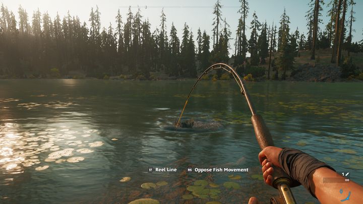 Po wyciągnięciu ryby otrzymasz o niej podstawowe informacje takie jak gatunek i waga - Wędkarstwo i łowienie ryb w Far Cry New Dawn - Far Cry New Dawn - poradnik do gry