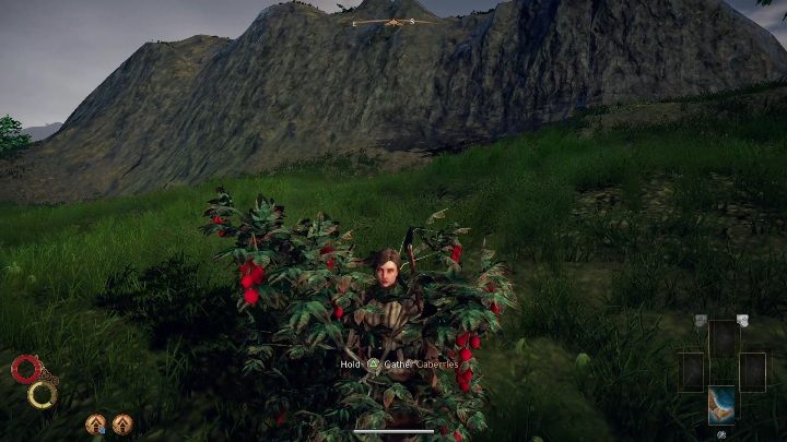 1 - Jedzenie i picie w Outward - Outward - poradnik do gry