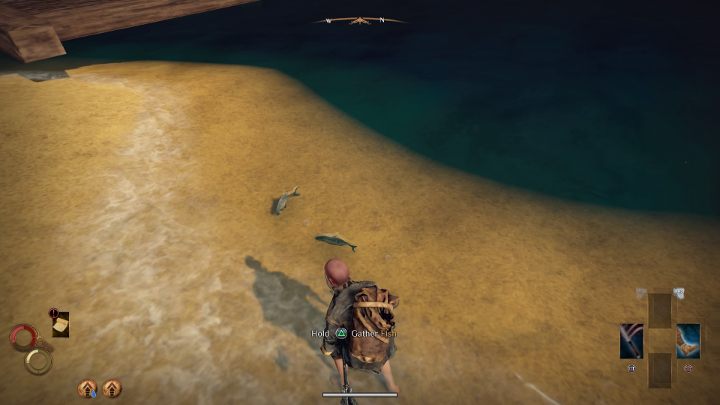Aby łowić ryby, podejdź do miejsca, w którym zauważysz pływające ryby. - Łowienie ryb - Jak zdobyć Fishing Harpoon w Outward? - Outward - poradnik do gry