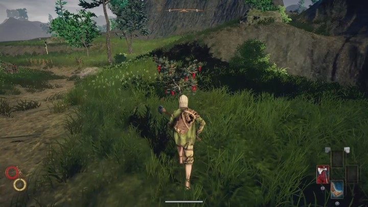 Z czerwonych owoców Gaberry możesz tworzyć dżem. - Jak zarobić 150 srebra na początku? - Outward - poradnik do gry