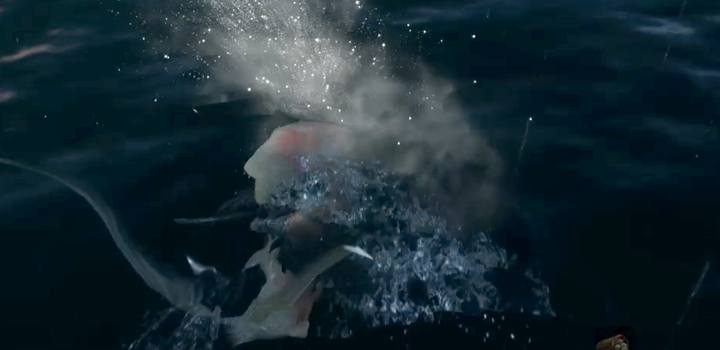 Karpie możesz upolować mieczem lub używając kilkakrotnie Shurikenów - Zacny Harunaga w dzbanie | Handlarze w Sekiro Shadows Die Twice - Sekiro Shadows Die Twice - poradnik do gry