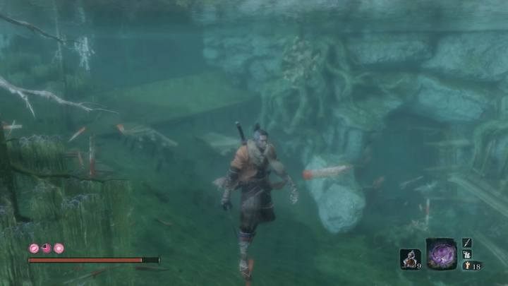 By kontynuować podróż, musisz po pokonaniu bossa Okami Lader Shizu wskoczyć do jeziora i płynąć pod wodą w stronę skał - Źródlany pałac | Solucja Sekiro Shadows Die Twice - Sekiro Shadows Die Twice - poradnik do gry