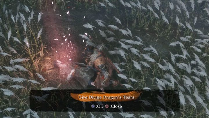 Po tym jak pokonasz obu bossów możesz podejść do leżącego w trawie Kuro - Zakończenie 2: Zerwanie nieśmiertelności (Immortal Severance) - Sekiro Shadows Die Twice - poradnik do gry