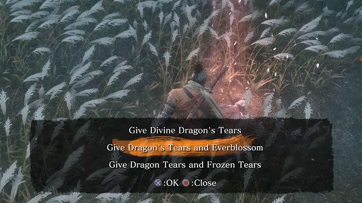 Po tym jak pokonasz obu bossów możesz podejść do leżącego w trawie Kuro - Zakończenie 3: Oczyszczenie (Purification) - Sekiro Shadows Die Twice - poradnik do gry