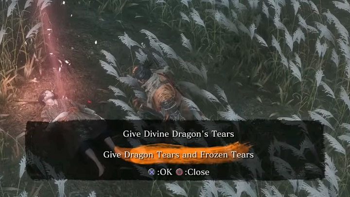 Po tym jak pokonasz obu bossów możesz podejść do leżącego w trawie Kuro - Zakończenie 4: Powrót (Return) - Sekiro Shadows Die Twice - poradnik do gry