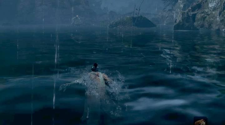Bohater potrafi pływać, nie jest jednak zbyt szybki - Eksploracja w Sekiro Shadows Die Twice - Sekiro Shadows Die Twice - poradnik do gry