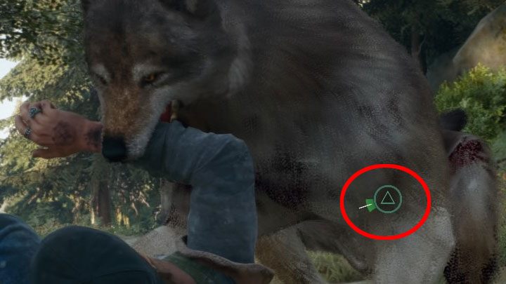 Działanie zdolności Mistrz ucieczki dotyczy szamotania się z przeciwnikami - mogą to być żywi wrogowie, wilki lub świrusy, którym udało się złapać/ugryźć bohatera - Days Gone: Umiejętność Mistrz ucieczki - jak korzystać? - Days Gone - poradnik do gry