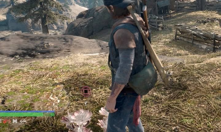 Różne gatunki roślin rosną w różnych obszarach mapy - zbierz je wszystkie! - Days Gone: Sekrety - rodzaje - Days Gone - poradnik do gry