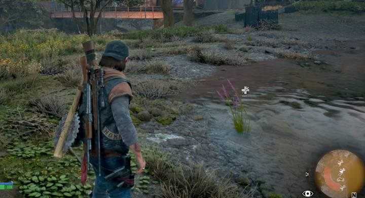 Lawenda, znajdziesz ją przy wodzie - Days Gone: To mój brat - solucja, opis przejścia - Days Gone - poradnik do gry