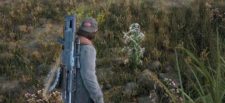 Udaj się na południowy wschód, by odnaleźć szalej dla Sary - Days Gone: Nigdy się nie poddam - solucja, opis przejścia - Days Gone - poradnik do gry