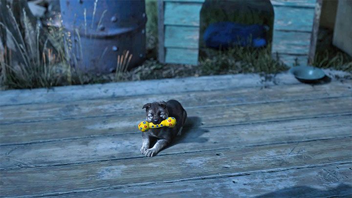 Zabawkę możesz przekazać szczeniakowi przygarniętemu przez Boozera dopiero w końcowej części głównej fabuły lub po jej ukończeniu - Days Gone: Pies - czy można pogłaskać? - Days Gone - poradnik do gry
