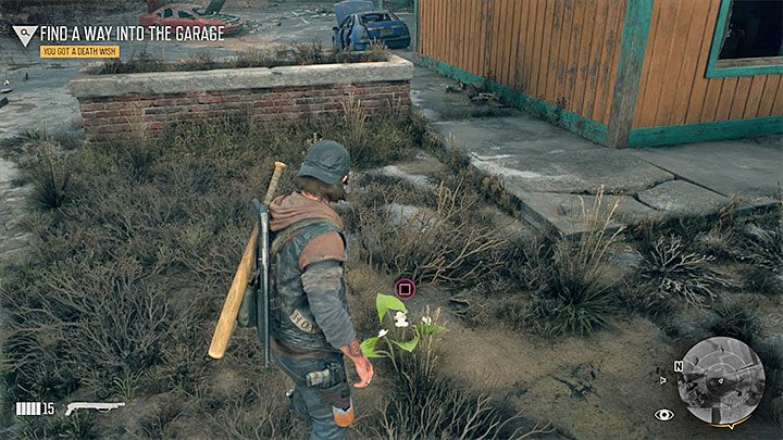 Pierwsza grupa przedmiotów o niejasnym zastosowaniu to różnego rodzaju zioła (Herb), jak również jagody (Berry) i grzyby (Mushroom) - Days Gone: Zioła, jagody, grzyby i mięso - co dają? - Days Gone - poradnik do gry