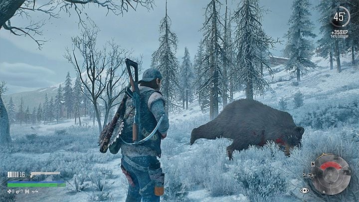 Druga grupa to mięso różnych dzikich zwierząt, np - Days Gone: Zioła, jagody, grzyby i mięso - co dają? - Days Gone - poradnik do gry