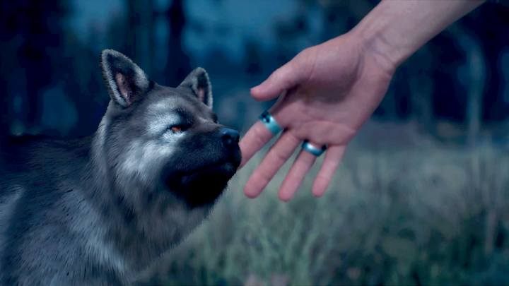 Piesek dla Boozera - Days Gone: Przeżycie to nie życie - solucja, opis przejścia - Days Gone - poradnik do gry