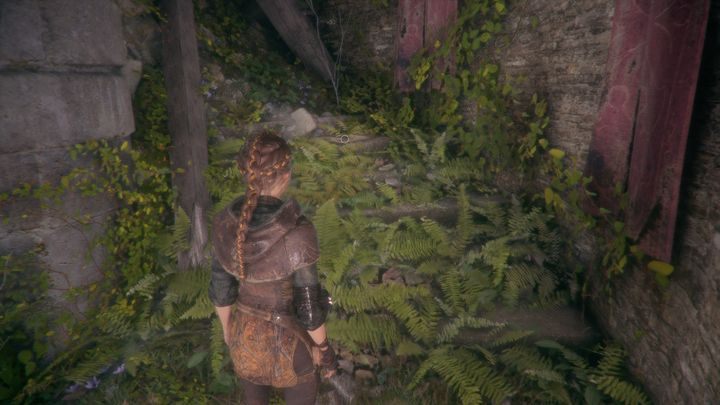 Drugą osobliwość stanowi Podręcznik nauki języka ptaków - A Plague Tale Innocence: Osobliwości - lista wszystkich - A Plague Tale Innocence - poradnik do gry