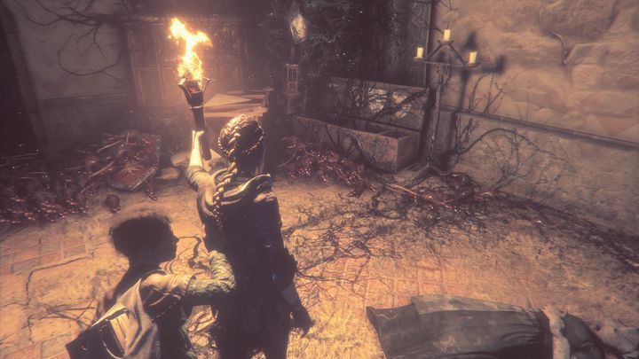 Drzewo genealogiczne stanowiące drugą osobliwość jaką możesz znaleźć na tym etapie, znajduje się w pracowni Bearice - A Plague Tale Innocence: Osobliwości - lista wszystkich - A Plague Tale Innocence - poradnik do gry