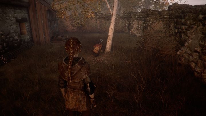 Na tym etapie znajdziesz Mieczyki - A Plague Tale Innocence: Herbarium Hugo - lista wszystkich kwiatów - A Plague Tale Innocence - poradnik do gry