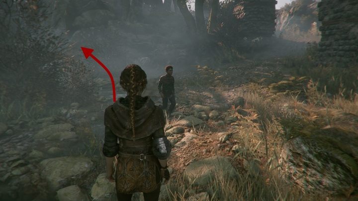 Na tym etapie znajdziesz Głóg - A Plague Tale Innocence: Herbarium Hugo - lista wszystkich kwiatów - A Plague Tale Innocence - poradnik do gry