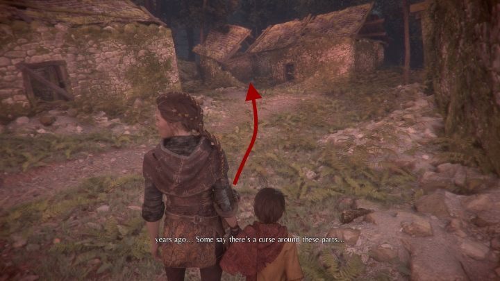Rośliną jaką znajdziesz w tym rozdziale - dziurawiec - znajdziesz przy drzewie, przy którym wraz z Hugo wieszasz naszyjniki - A Plague Tale Innocence: Herbarium Hugo - lista wszystkich kwiatów - A Plague Tale Innocence - poradnik do gry