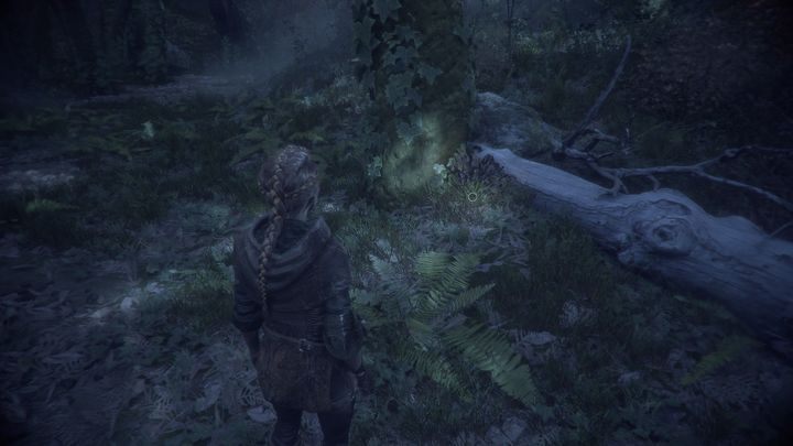 W tym rozdziale znajduje się Stokrotka - A Plague Tale Innocence: Herbarium Hugo - lista wszystkich kwiatów - A Plague Tale Innocence - poradnik do gry