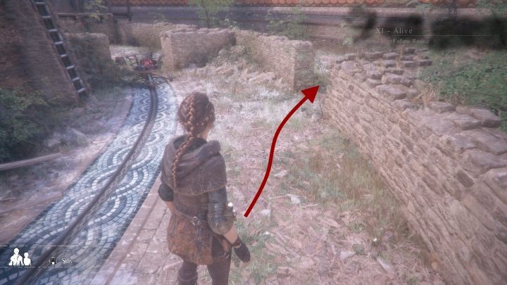 Na tym etapie trafisz na Pięciornik - A Plague Tale Innocence: Herbarium Hugo - lista wszystkich kwiatów - A Plague Tale Innocence - poradnik do gry