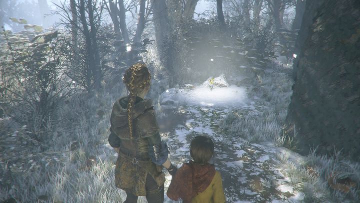 Psiankę znaleźć można na skwerku, przy którym kapitan ucina sobie pogawędkę - A Plague Tale Innocence: Herbarium Hugo - lista wszystkich kwiatów - A Plague Tale Innocence - poradnik do gry