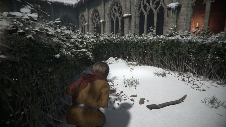 W czasie przechodzenie tego rozdziału trafisz na Skalnicę - A Plague Tale Innocence: Herbarium Hugo - lista wszystkich kwiatów - A Plague Tale Innocence - poradnik do gry