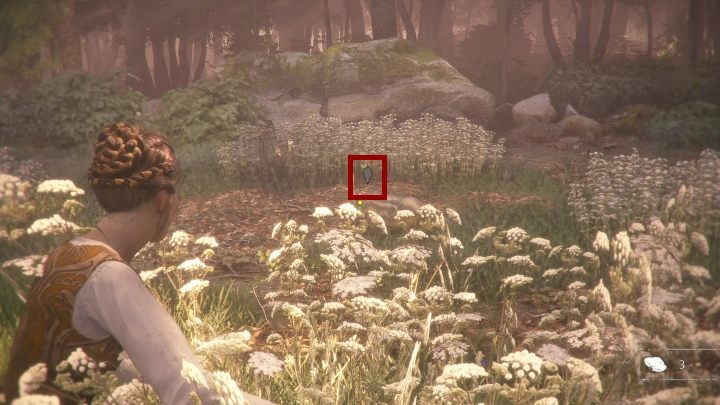 Po tej sekwencji, czeka cię kolejna sekwencja pościgu za psem - A Plague Tale Innocence: Dziedzictwo rodu De Rune - solucja, opis przejścia - A Plague Tale Innocence - poradnik do gry