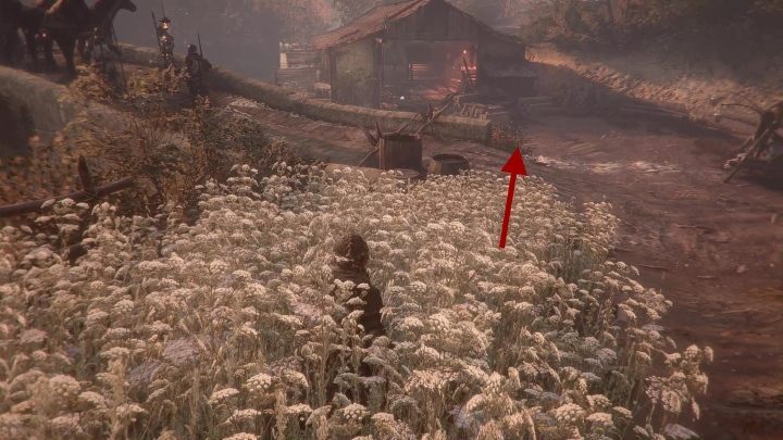 Trafisz na niewielki magazyn - A Plague Tale Innocence: Uczeń - solucja, opis przejścia - A Plague Tale Innocence - poradnik do gry