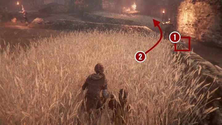 W tym momencie zapada zmrok - A Plague Tale Innocence: Uczeń - solucja, opis przejścia - A Plague Tale Innocence - poradnik do gry