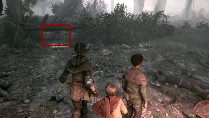 Przejdź do paleniska, a następnie podpal stojący nieopodal stóg siana - A Plague Tale Innocence: Czas kruków - solucja, opis przejścia - A Plague Tale Innocence - poradnik do gry
