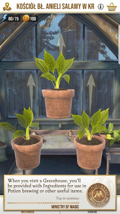 W cieplarniach znajdziesz składniki do mikstur - Lokacje i miejsca w Harry Potter Wizards Unite - Harry Potter Wizards Unite - poradnik do gry