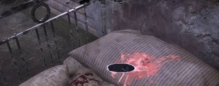 Zbadaj trop na łóżku przy użyciu Oka umysłu - Badania terenowe | Sprawy poboczne w The Sinking City - The Sinking City - poradnik do gry