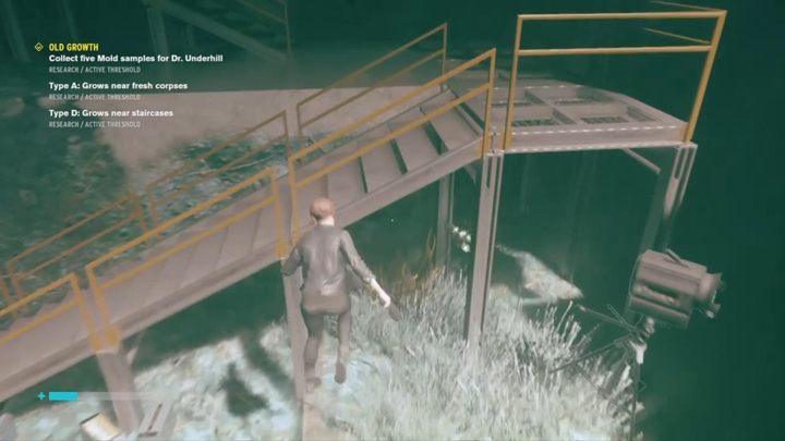 Pleśń typu D odnajdziesz pod metalowymi schodami - Control: Stary Rozrost - solucja, opis przejścia - Control - poradnik do gry