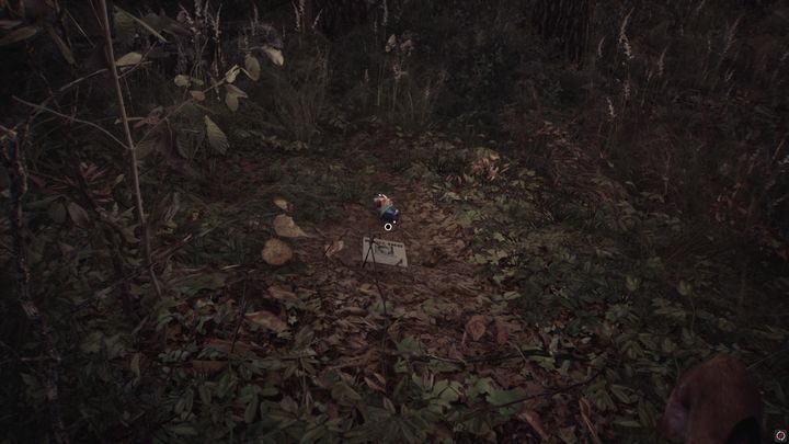 Obejrzyj znalezisko i udaj się ścieżką na prawo od miejsca, gdzie znalazłeś pozostałości - Rozdziały 1,2 i 3 | Solucja Blair Witch - Blair Witch - poradnik do gry