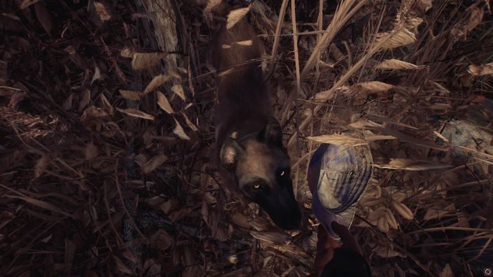 Zanim udasz się do wnęki możesz także pozwiedzać las - Rozdziały 1,2 i 3 | Solucja Blair Witch - Blair Witch - poradnik do gry