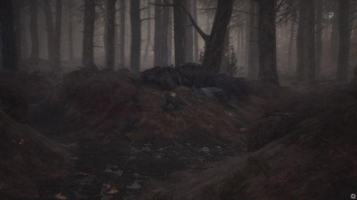 Efekt rozmycia jest pierwszym przejawem nadchodzącego ataku. - Pies Bullet w Blair Witch - Blair Witch - poradnik do gry