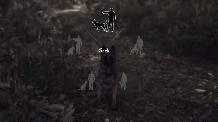 Bardzo ważne jest także budowanie relacji z twoim towarzyszem - Pies Bullet w Blair Witch - Blair Witch - poradnik do gry