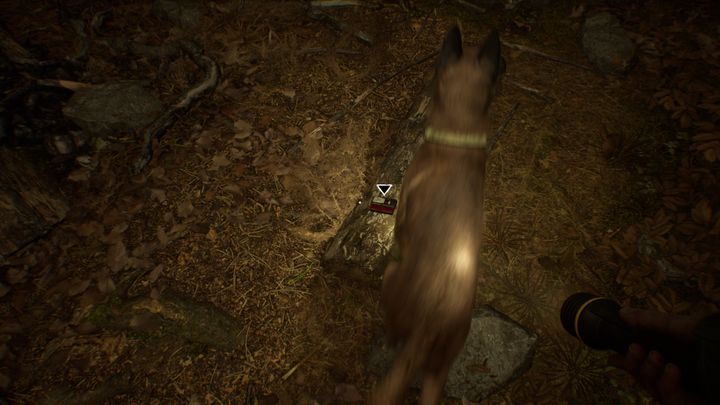 Musisz udać się z nią na wzgórze, do którego prowadzą wąskie schody na prawo od namiotu - Rozdziały 6 i 7 | Solucja Blair Witch - Blair Witch - poradnik do gry