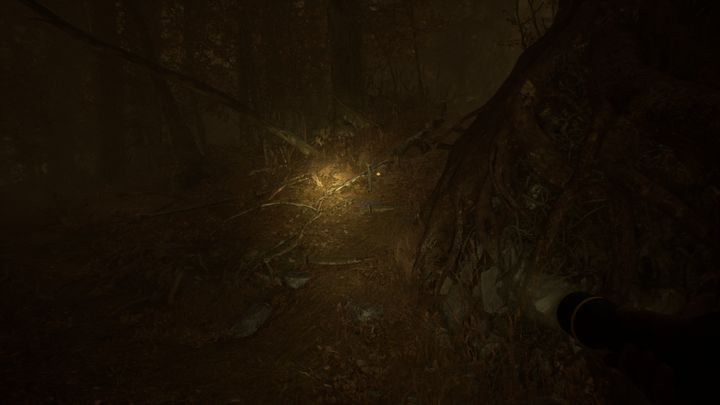 Następnie będziesz musiał przechodzić między kolejnymi wyspami, unikając przy tym ostrzy z liści - Rozdziały 6 i 7 | Solucja Blair Witch - Blair Witch - poradnik do gry