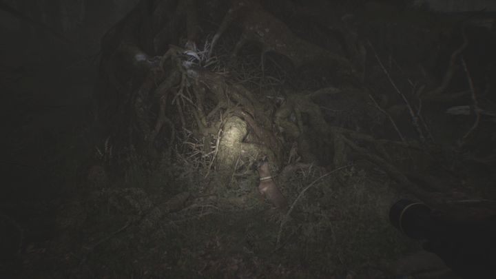 Po wyświetleniu nagrania okaże się, że kamera ma nową funkcję - pozwala ona widzieć szlaki niewidoczne gołym okiem - Rozdziały 12 i 13 | Solucja Blair Witch - Blair Witch - poradnik do gry