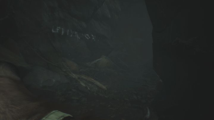 Po przebudzeniu nadal znajdujesz się w wąwozie, ale jesteś sam - Rozdziały 14 i 15 | Solucja Blair Witch - Blair Witch - poradnik do gry