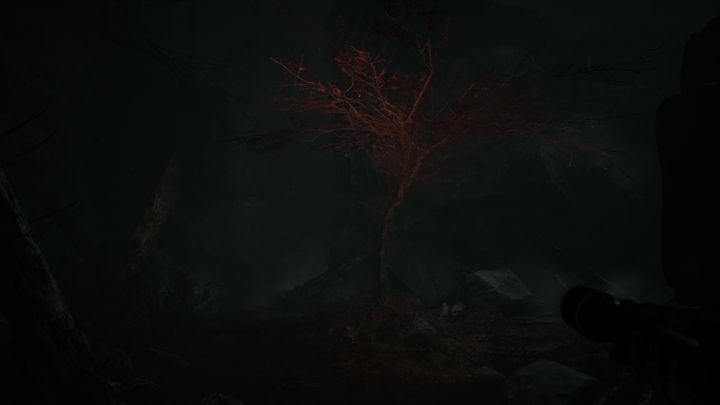 Chwilę potem trafisz ponownie w okolice zwłok łosia - Rozdziały 14 i 15 | Solucja Blair Witch - Blair Witch - poradnik do gry