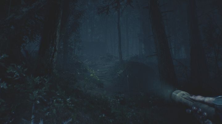 Twoim zadaniem jest dostanie się do piwnicy - Rozdziały 16 i 17 | Solucja Blair Witch - Blair Witch - poradnik do gry