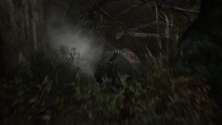 Figurkę tą będziesz miał okazję znaleźć, tuż po scence spowodowanej odnalezieniem broni - Drewniane lalki, figurki | Sekrety w Blair Witch - Blair Witch - poradnik do gry