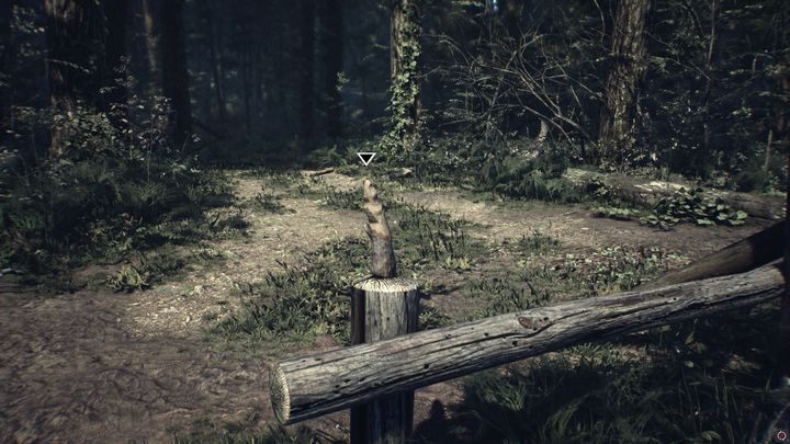 Komentarz: Osiągnięcie odblokujesz, gdy podniesiesz pierwszą figurkę - Osiągnięcia w Blair Witch - Blair Witch - poradnik do gry