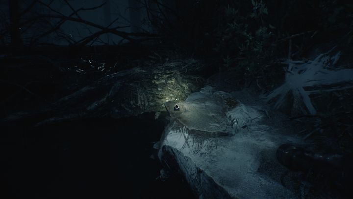 To zdjęcie znajdziesz nieopodal obozu w rozdziale 7 - Zdjęcia | Sekrety w Blair Witch - Blair Witch - poradnik do gry