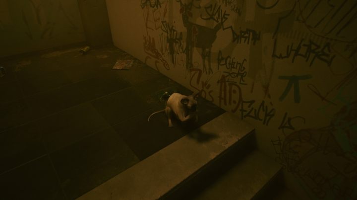 Nie znaczy to jednak, że w grze nie możesz posiadać żadnego zwierzaka - Cyberpunk 2077: Czy można adoptować iguanę? - Cyberpunk 2077 - poradnik do gry